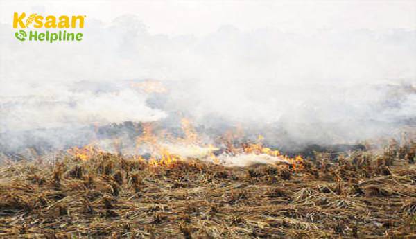 उन्नाव में जलते हुए ठूंठ की जांच के लिए बार्टर योजना